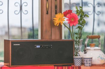 Norge Samba Speaker